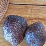 Salacca zalacca ഫലം