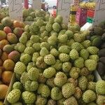 Annona squamosa Gyümölcs