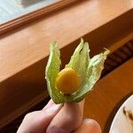 Physalis peruviana果實