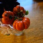Solanum aethiopicum Fruit