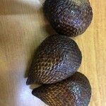 Salacca zalacca ഫലം