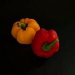 Capsicum annuum Fruitua