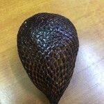 Salacca zalacca ഫലം