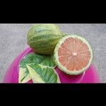 Citrus medica Vrucht