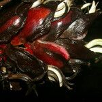Heliconia reticulata Fruto